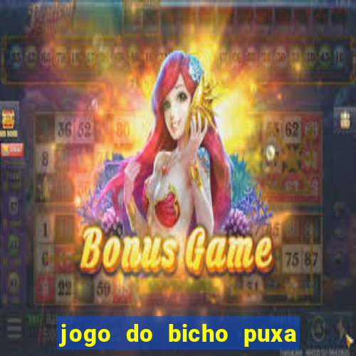 jogo do bicho puxa de dona maria